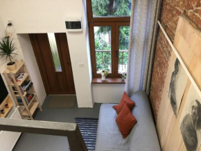 Ferdinand Art Studio Cluj-Napoca